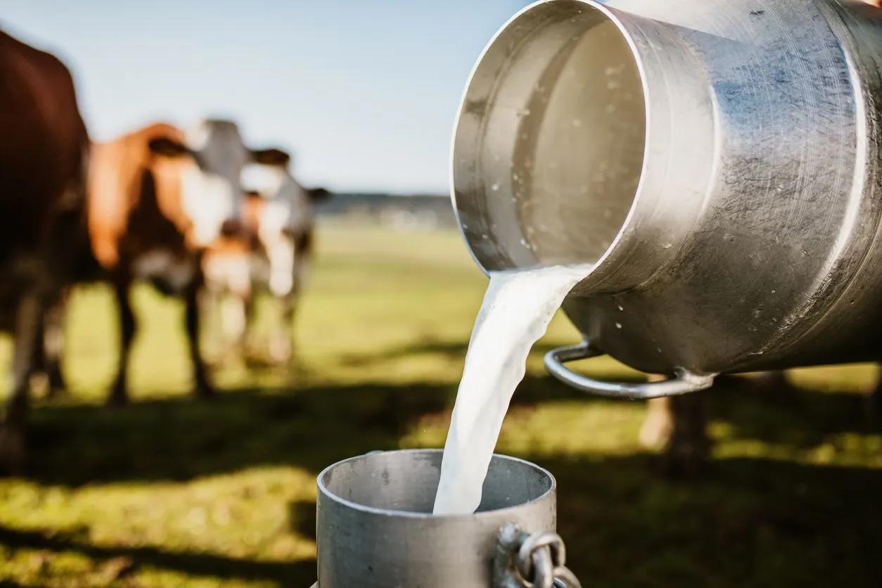 Fake milk CEO: Dairy ‘has no right to exist’ due to ‘climate change ...